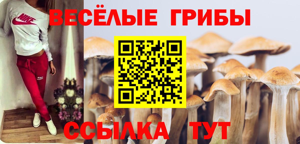Галлюциногенные грибы Cubensis Нефтеюганск